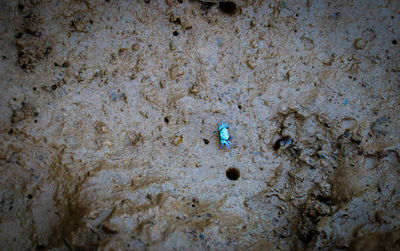 Full frame shot of water on beach