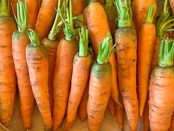 High angle view of vegetables in market stall