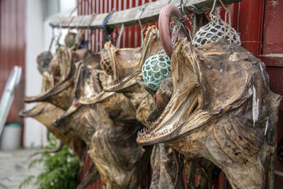 Close-up of animal sculpture for sale in market