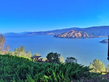 Scenic view of sea against clear blue sky