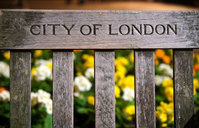 Close-up of text on wooden fence