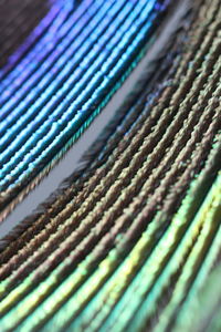 Full frame shot of multi colored pattern