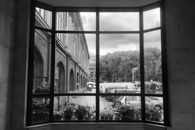 Trees seen through window