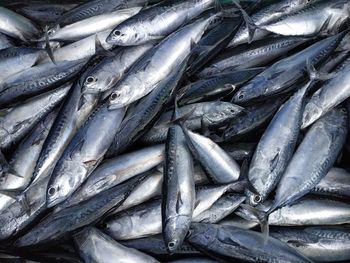 Full frame shot of fish for sale in market