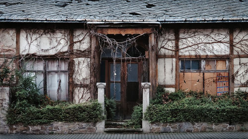 Old abandoned and decayed rural medieval half-timbered house with hedge