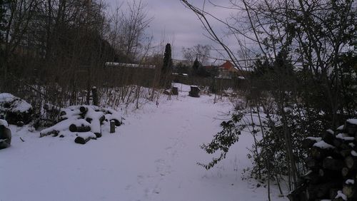 Scenic view of snow covered field by trees and buildings