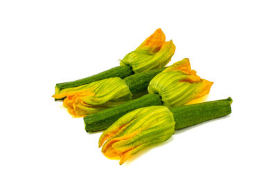 Close-up of yellow leaf against white background