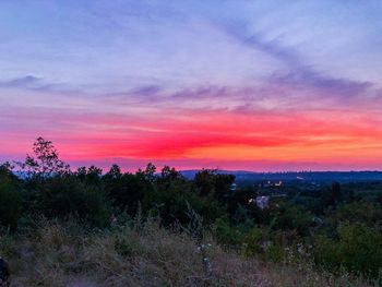 Scenic view of field against sky during sunset
