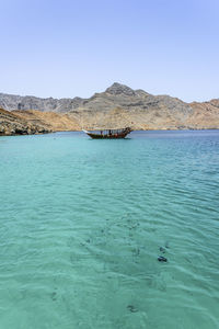 Traditional arabic dhows with tourists and fishes in the wild fjord of musandam peninsula,  oman