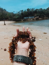 Close-up of hand holding sand