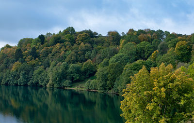 Scenic view of lake amidst trees in forest against sky