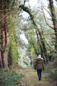 Rear view of man standing in forest