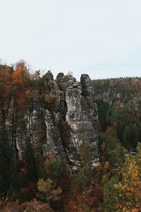 Scenic view of trees against sky during autumn