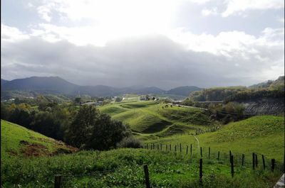 Scenic view of agricultural field against sky