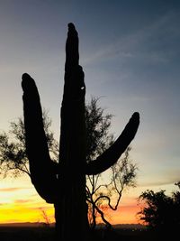 Low angle view of silhouette cactus against sky during sunset