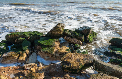 High angle view of pebble beach