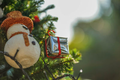 Close-up of christmas decorations on tree