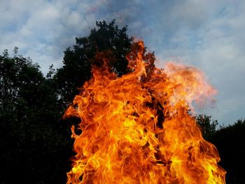 Bonfire against trees and sky