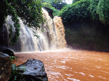 Scenic view of waterfall in forest
