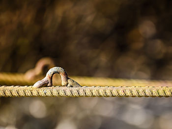 Close-up of hooks on rusty iron