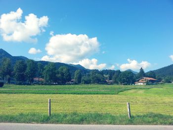 Scenic view of agricultural field against blue sky