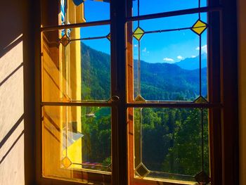 Close-up of trees seen through window