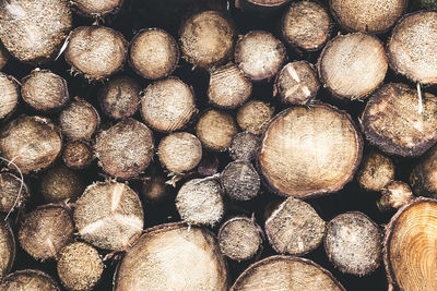 Full frame shot of logs in forest