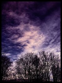 Low angle view of silhouette bare trees against sky