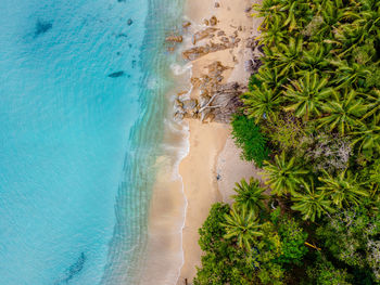 High angle view of water on beach