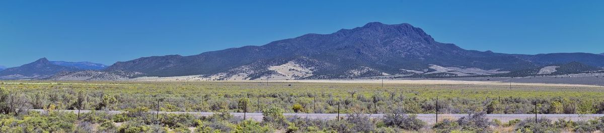 Scenic view of field against clear blue sky