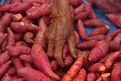 High angle view of cropped hand holding sweet potatoes