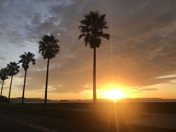 Silhouette palm trees against sky during sunset