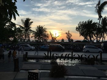 Palm trees at sunset