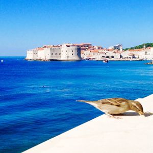 Scenic view of sea against clear blue sky
