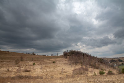 Scenic view of field against sky