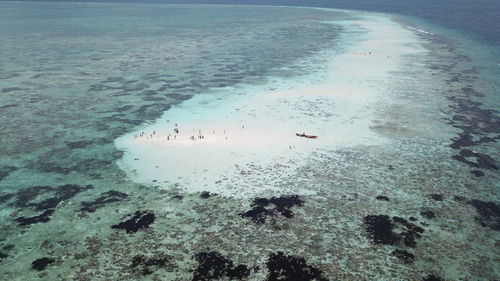 High angle view of ducks swimming in sea