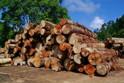 Stack of logs against sky