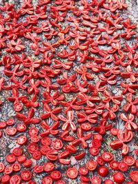 Full frame shot of red chili peppers at market