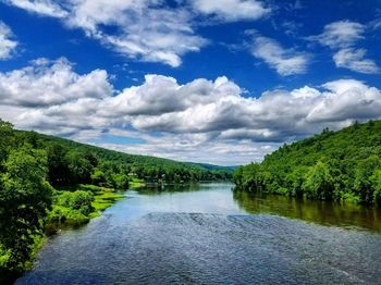 Scenic view of river amidst trees against sky