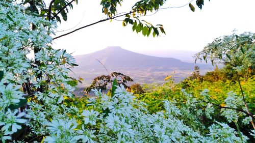 Scenic view of mountains against sky