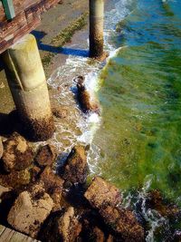 View of water flowing through rocks