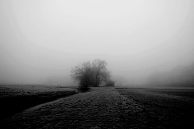 Bare trees on field against clear sky during winter