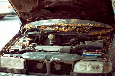 Close-up of old vintage car