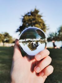 Close-up of hand holding crystal ball against tree and sky