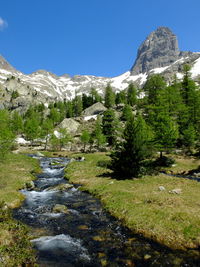 Scenic view of stream by trees against clear sky