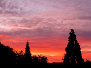 Silhouette of trees at sunset