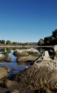 Scenic view of river against clear blue sky