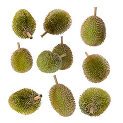 High angle view of fruits against white background