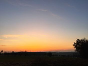 Silhouette trees on field against sky at sunset