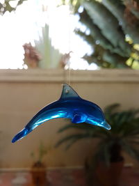 Close-up of blue hanging